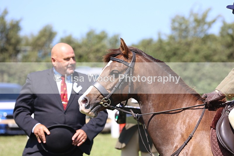 JPP_2217 - Class 20: Tiny Tots Working Hunter Pony