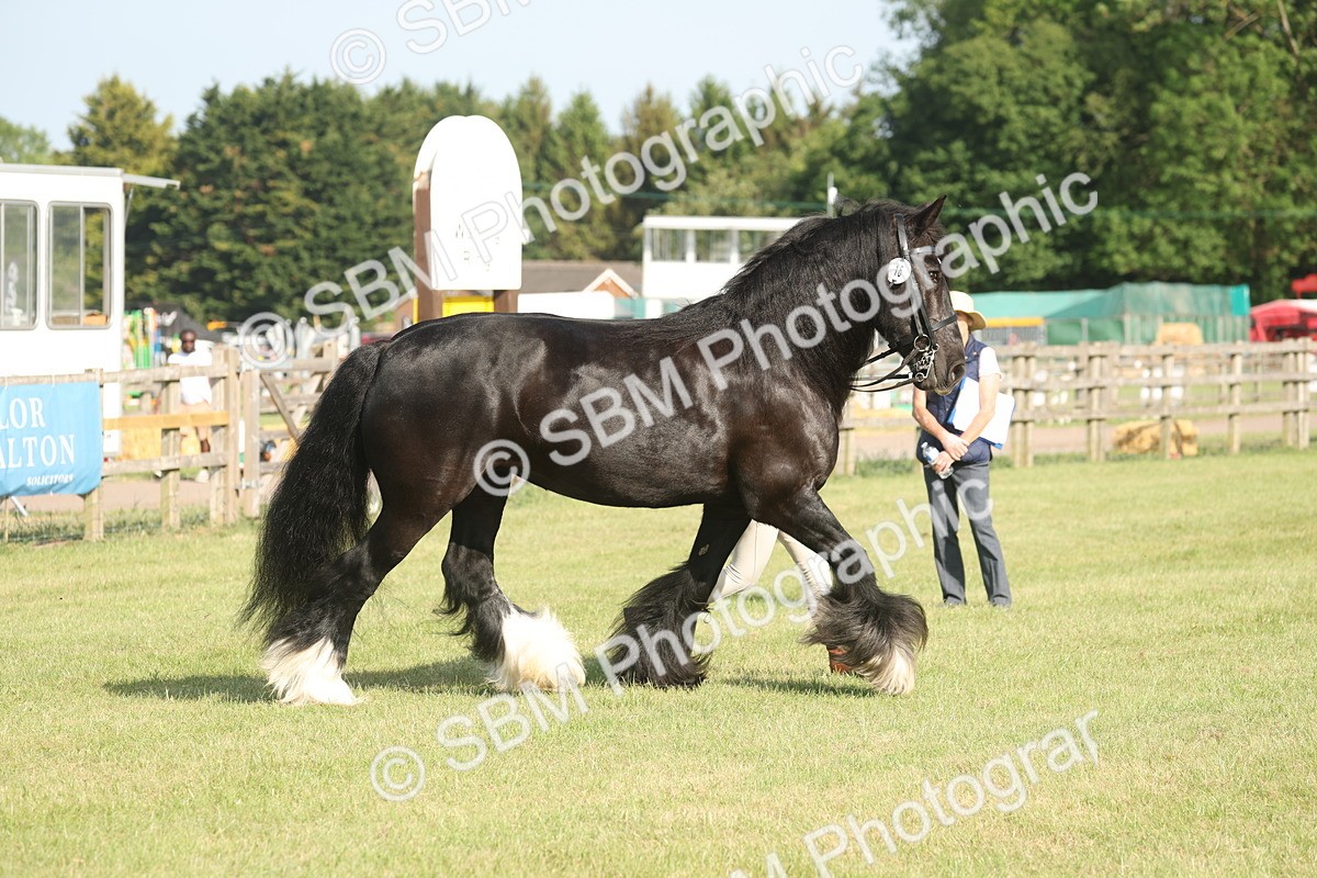 SBM_10335 - Class 33-38 - SSADL RIHS Qualifiers