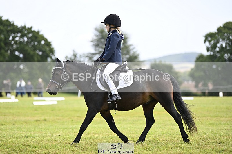 240824X-110505-25709 - D80 Section E and F 11.00 to 12.00