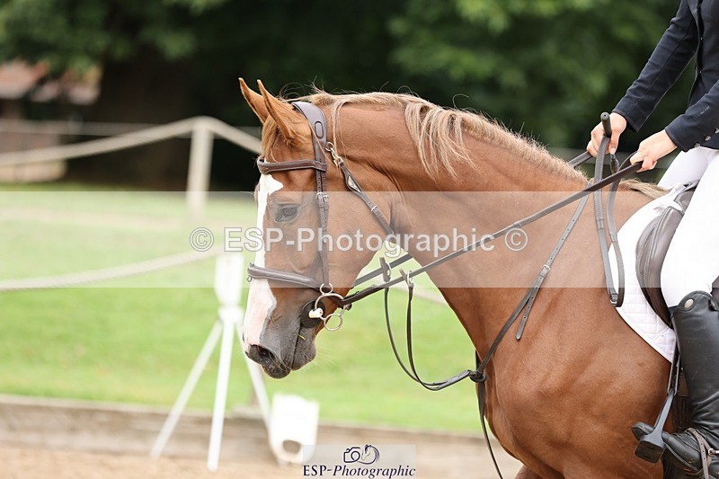 240817-083129-00032 - 01. Clear Round - 80cm