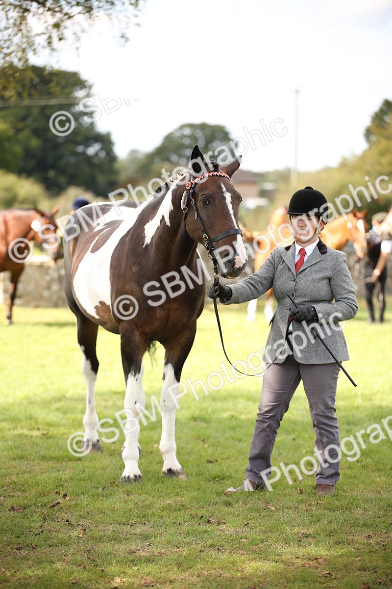 SBM_44507 - S24 - Young Veteran in hand