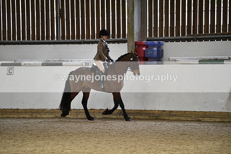 WJ5_7422 - Class 11 Ridden PC - RC Pony