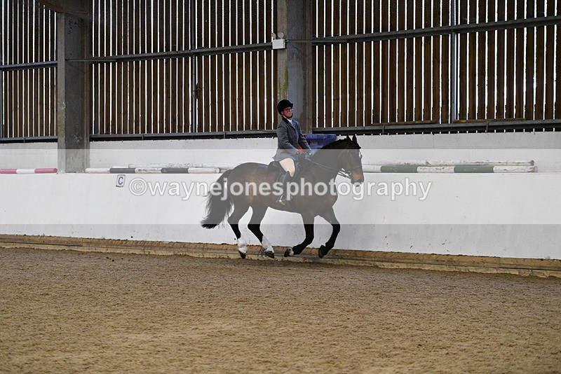 WJ5_7728 - Class 13 Ridden Part Breed