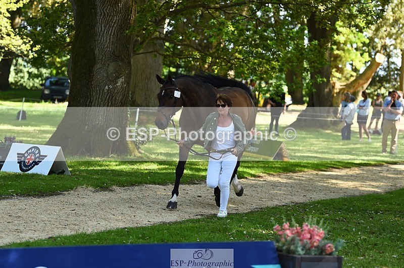 230524-154614-00485 - 369-GIDO_G-Sally_Chamberlain-WEDTrotUp+DR