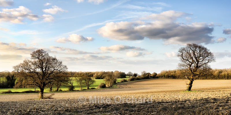 Winter's Day_Cordy's Lane_Felixstowe_Suffolk - Landscapes