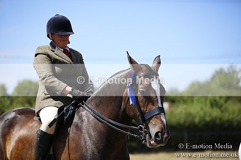 _C7A0004 - BVRC Show 2018 Ring 1