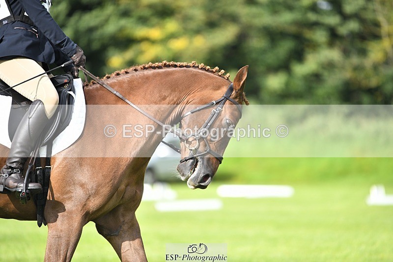 230826-094107-15197 - Sections C & D 9 to 10am