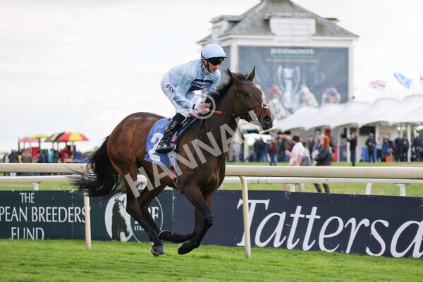 yr11052022r6-8 - Race 6 4.45pm Conundrum HR Consulting Stakes