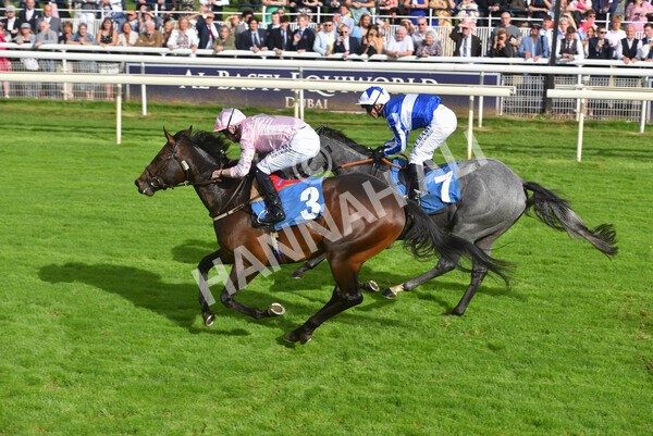 yr24092021r4-33 - Race 4 3.15pm William Hill Play Responsibly British EBF Restricted Novice Stakes