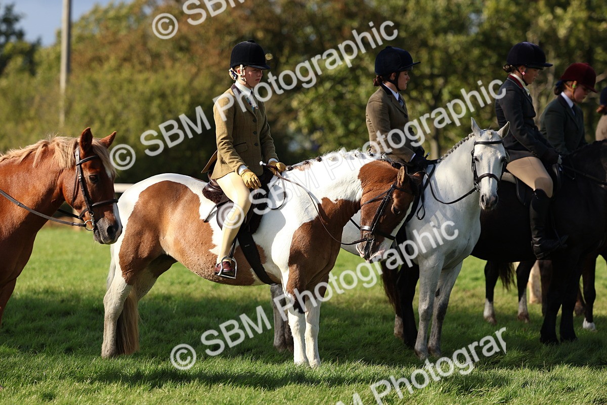 SBM_52471 - S13 - Pony Club Pony