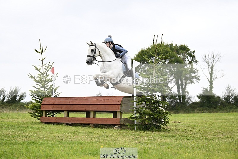 240831A-141807-03594 - 256-Tiarna.Falco-AUGHNAKEERAGH.DANNY