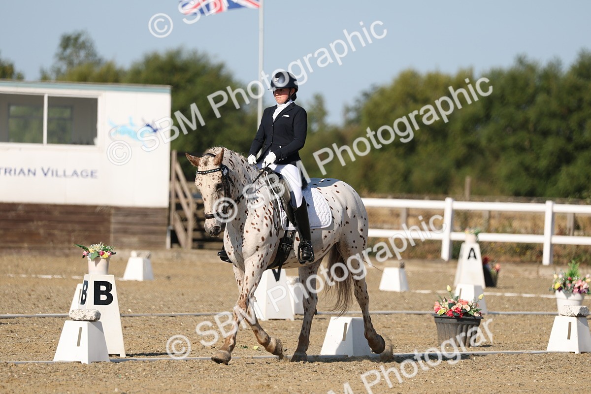 SBM_012672 - Class 1 - P5 Bronze 9.00.10.12