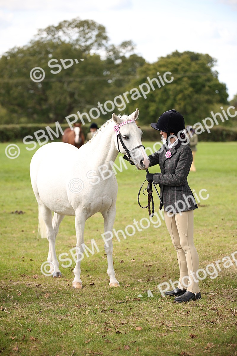 SBM_44511 - S24 - Young Veteran in hand