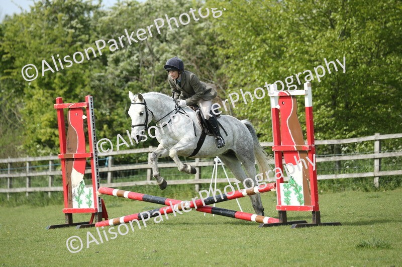 20260426-1624 - Class 14 - Novice 60cm