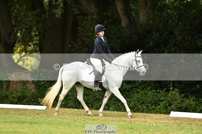 250820A-110019-04860 - 11am to 12