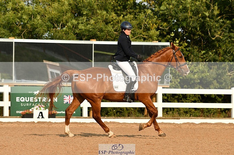 250817-090037-06720 - 080-Elizabeth.StoneZiggy