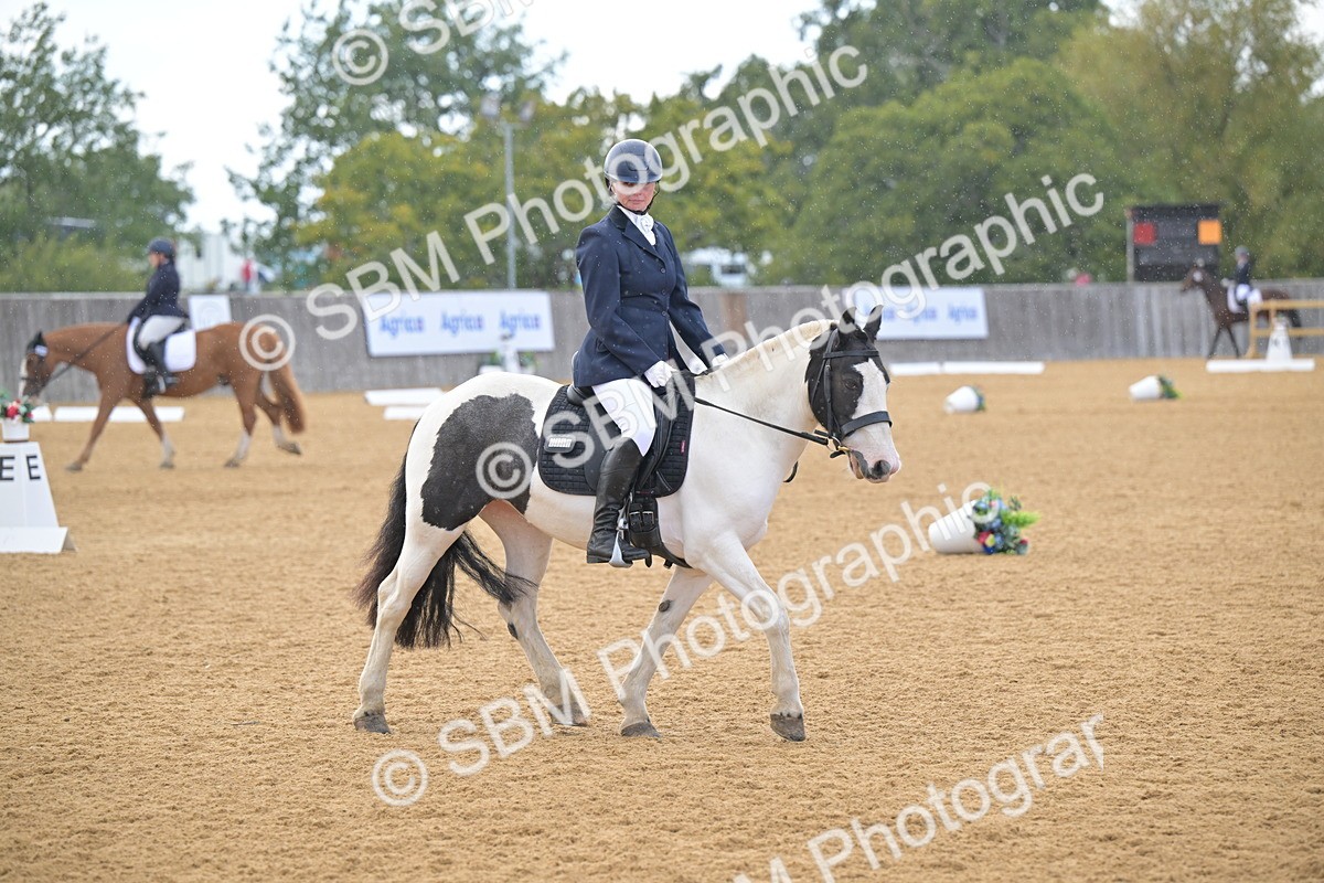 SBM_11170 - D3 - Small Tour Championship Intro 3