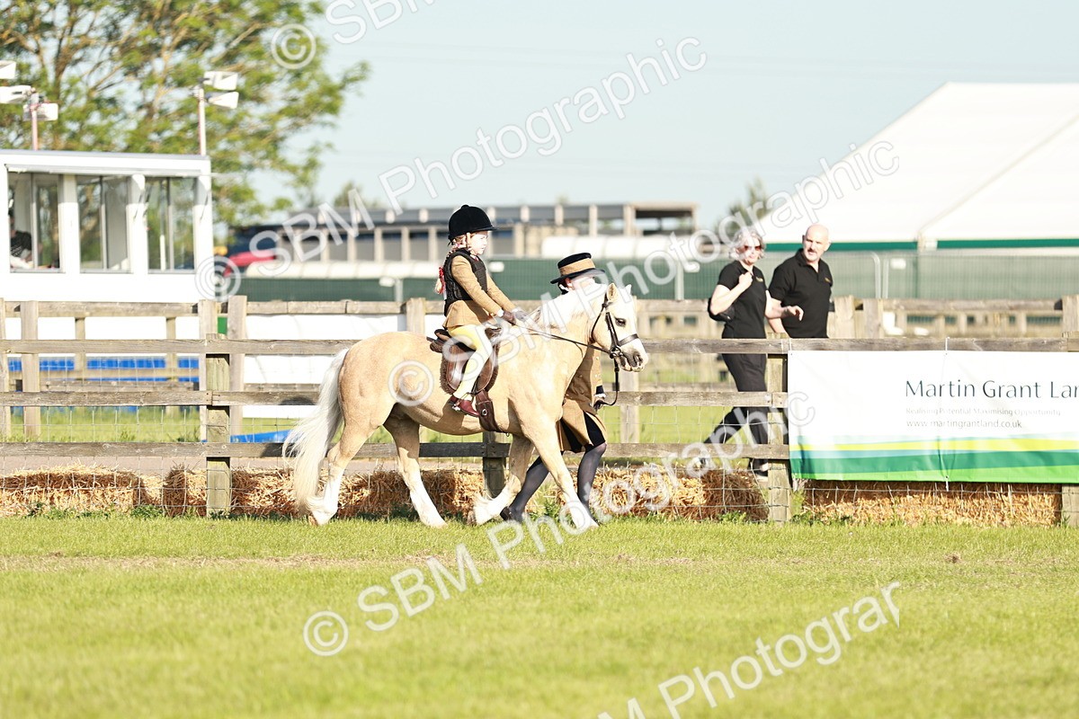 SBM_11055 - Class 106-107 - BSPS LIHS Working Sports Pony