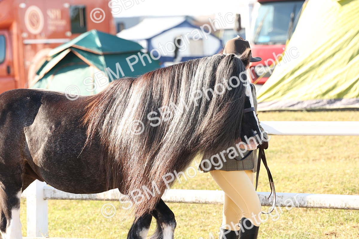 SBM_10761 - Class 201 - Best Turned Out - IH