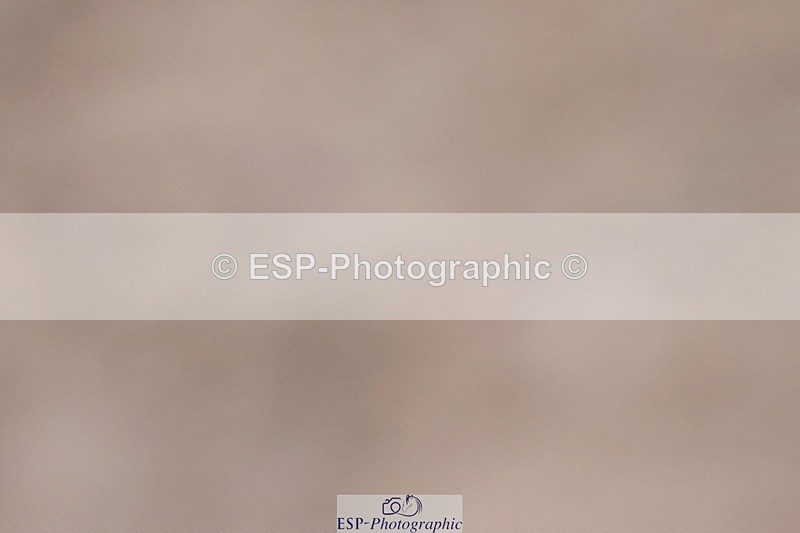 240223A-084246-00007 - Cls 2 British Novice and 90cm Open