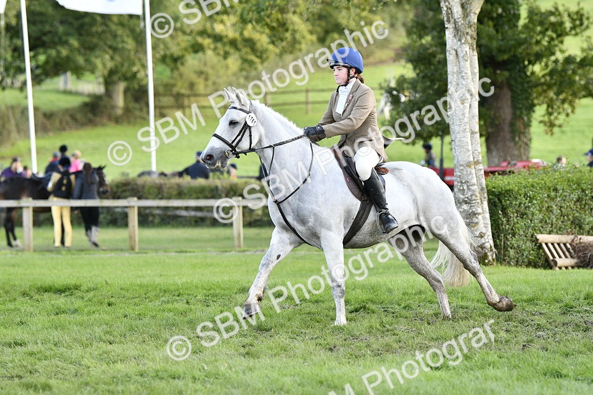 SBM_52153 - S35 - Working Hunter & Working Show Horse