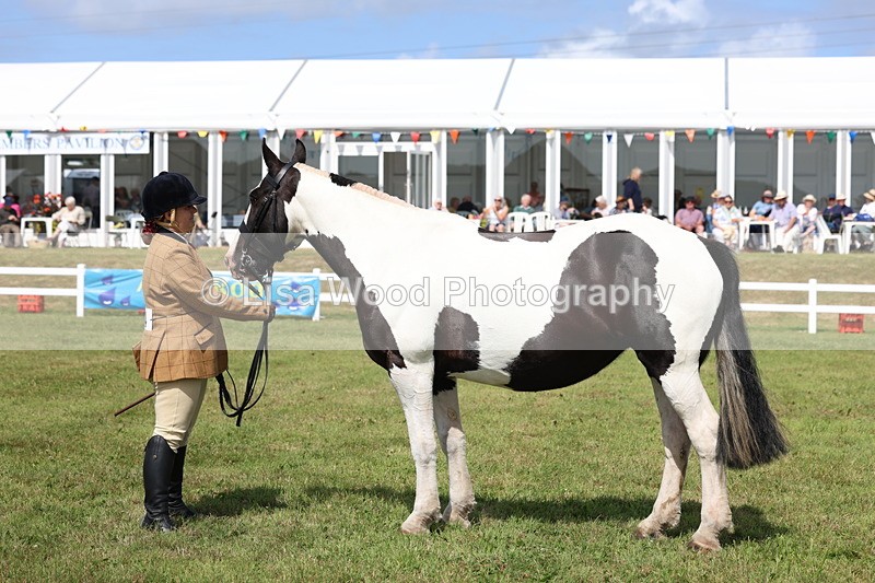 3E7A0052 - Class 5: Rising Star Lightweight/Heavyweight Cobs