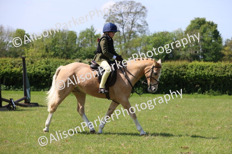20250427-2533 - Class 19 - Mini Working Hunter