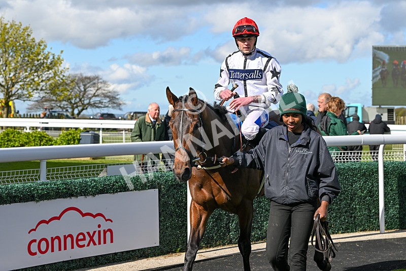 250424-Race 4-Classy Boy-1362