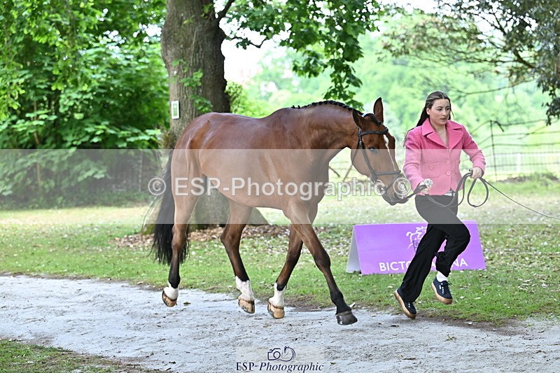 250521A-143859-00142 - A-013-Marianna.Sawyer-KINGSTON