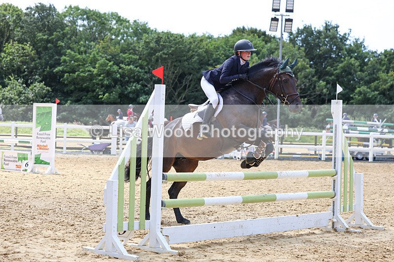 3E7A0304 - Class 9: Senior British Novice/90cm open