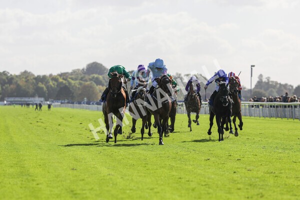 yr08102022r2-24 - Race 2 2.05pm The Coral Rockingham Stakes