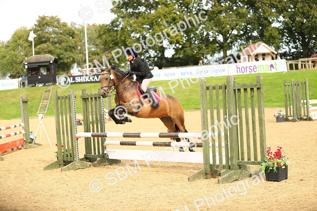 SBM_71232 - J18 - Junior Pony 85cm Championship