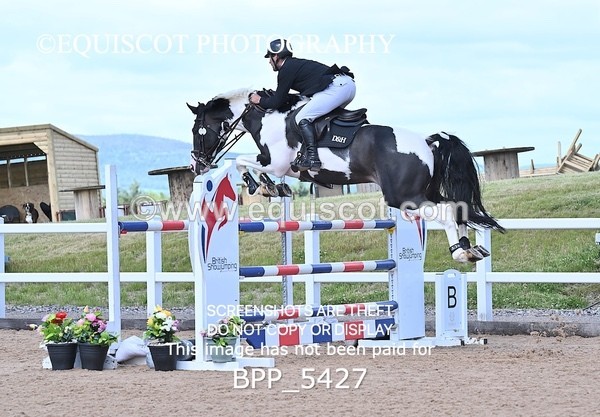 BPP_5427 - CLASS 8 THURS HOYS GFS Saddles Senior Newcomers Second Round