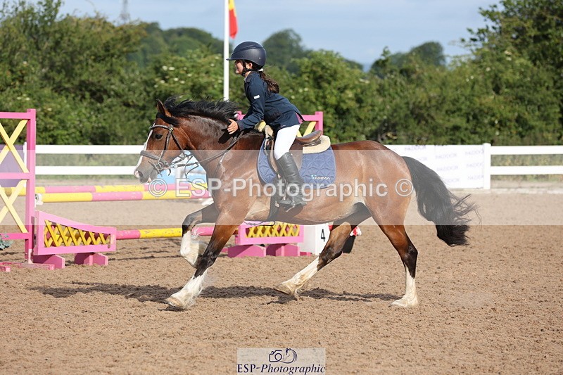 240629A-082235-02527 - Cls 16 British Novice and 80cm Open
