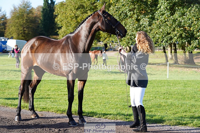 241026-101010-11663 - 055-Ellie.Fredericks-UPPER.CLASS.BRIT