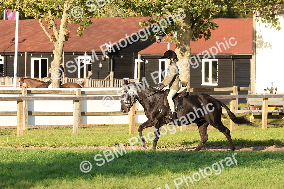 SBM_53075 - S29 - Mature Veteran Ridden