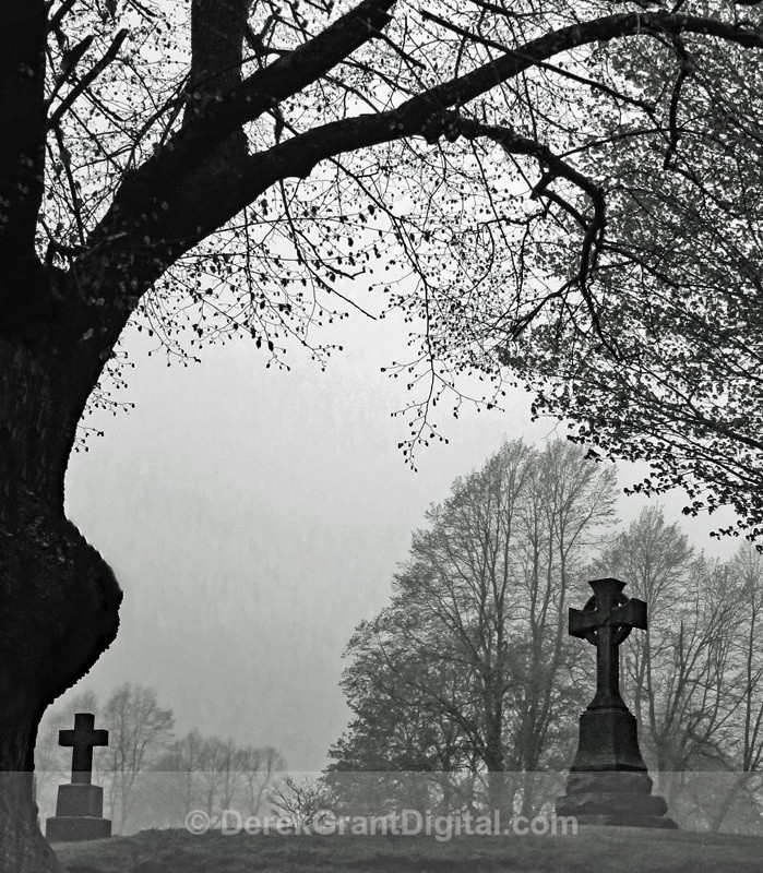 Fernhill Fog