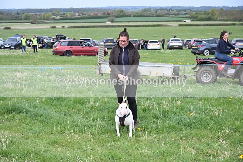 WJ6_8059 - Class 2 Best Pedigree