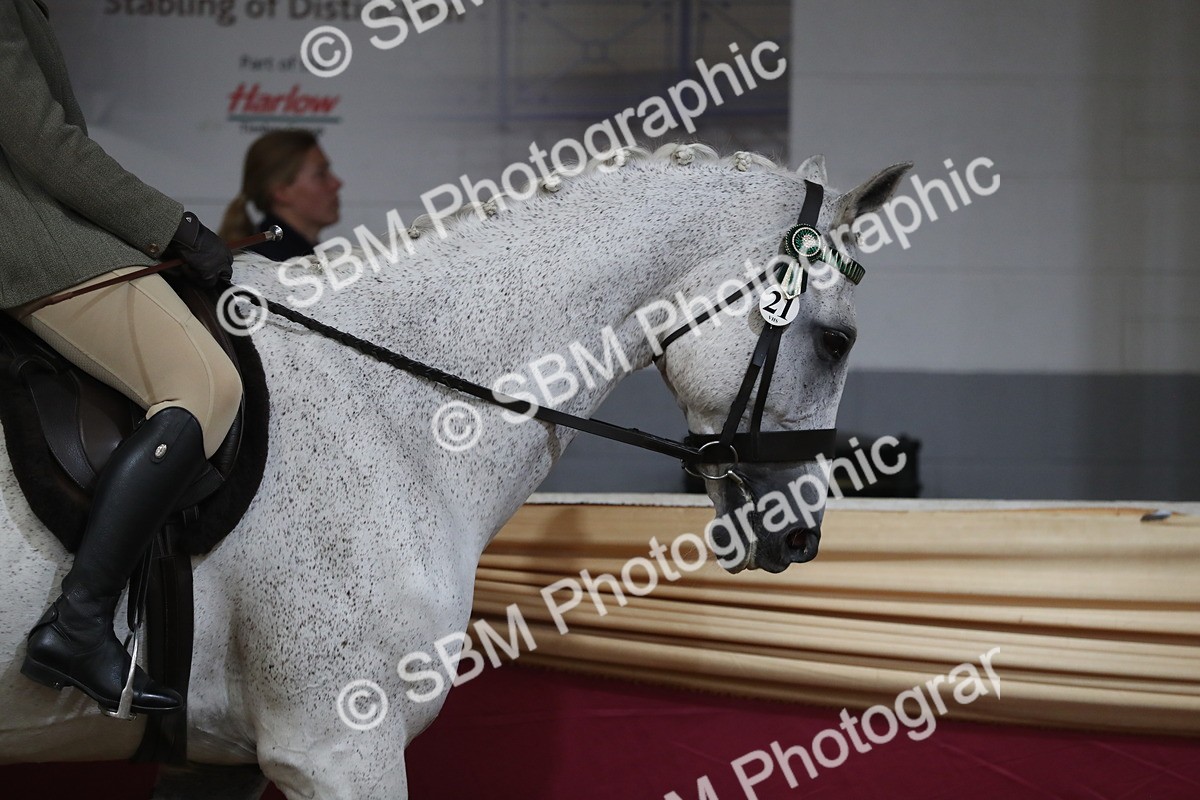 SBM_10293 - Class 102 Equitation (best rider) Adult