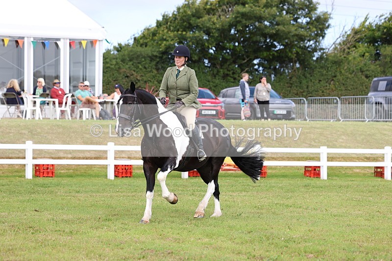 3E7A0327 - Class 6: Rising Star Maxi Cobs