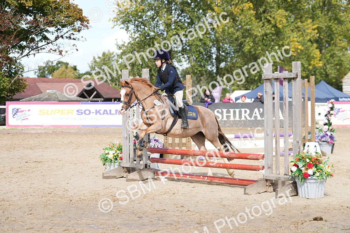 SBM_40749 - Supreme Championship Pony 50-55cm