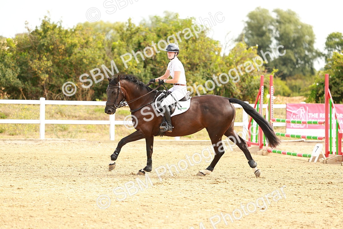 SBM_002322 - Class 9 - Senior British Novice - 90cm