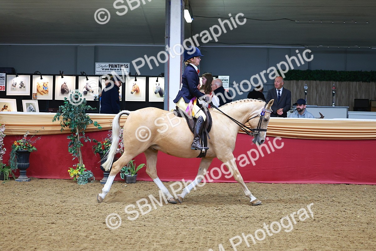 SBM_09893 - Class 102 - HOYS Veteran Qualifier - Ridden Veteran