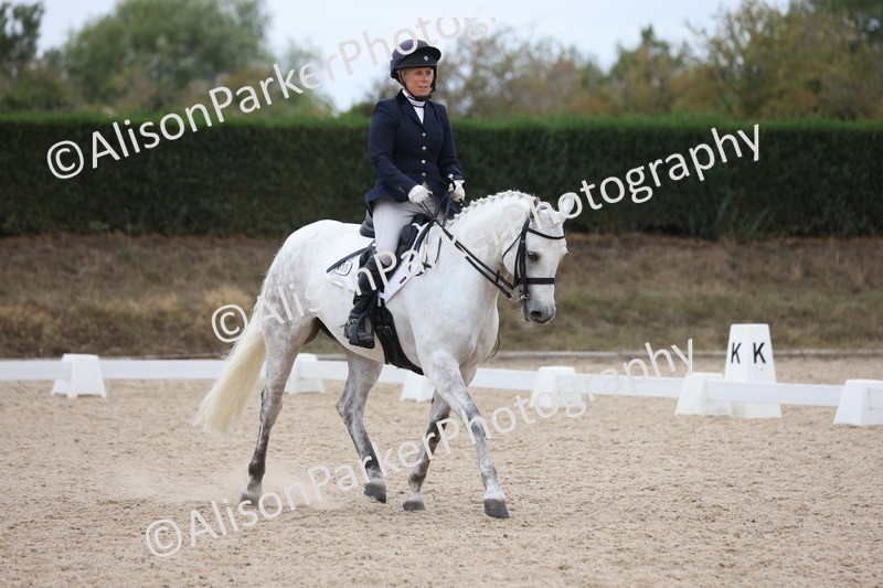 20250820-1142 - Class 17 - Elementary 4