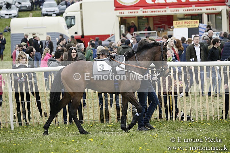 PtP 170417 465 - Old Berks Point-to-Point Lockinge 17/04/17