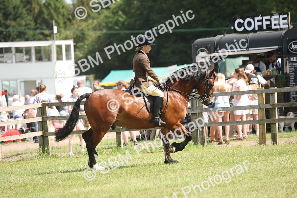 SBM_07657 - Class 26-30 - Mountain and Moorland Ridden