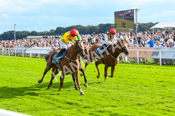 280723-Race 2-Quest For Fun-0204 - Race 2 5.30pm eventmasters.co.uk Handicap