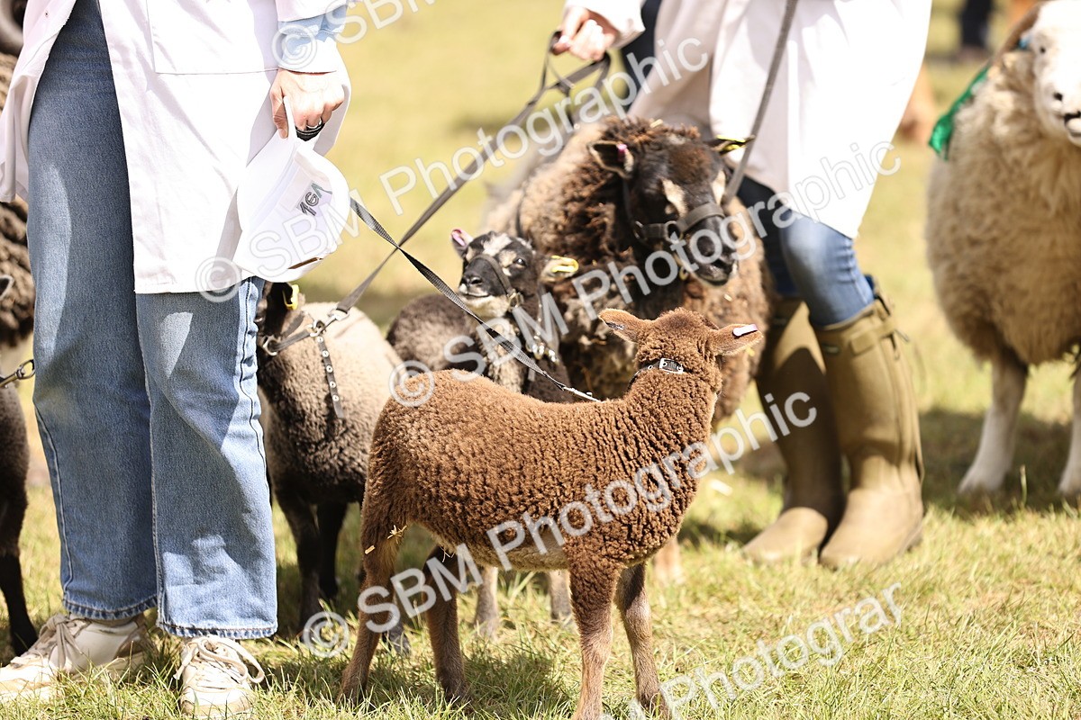 SBM_16930 - Grand Parade
