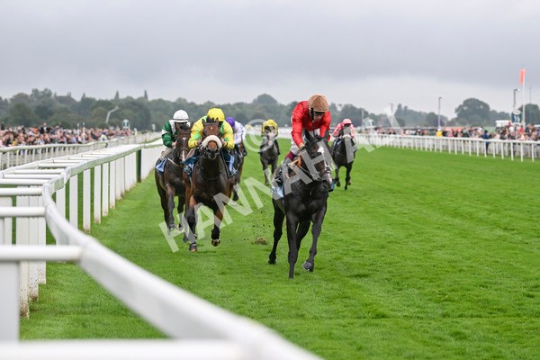 080924-Race 3-Brighton Boy-9053 - Race 3 2.50pm Irish Thoroughbred Marketing Nursery Handicap