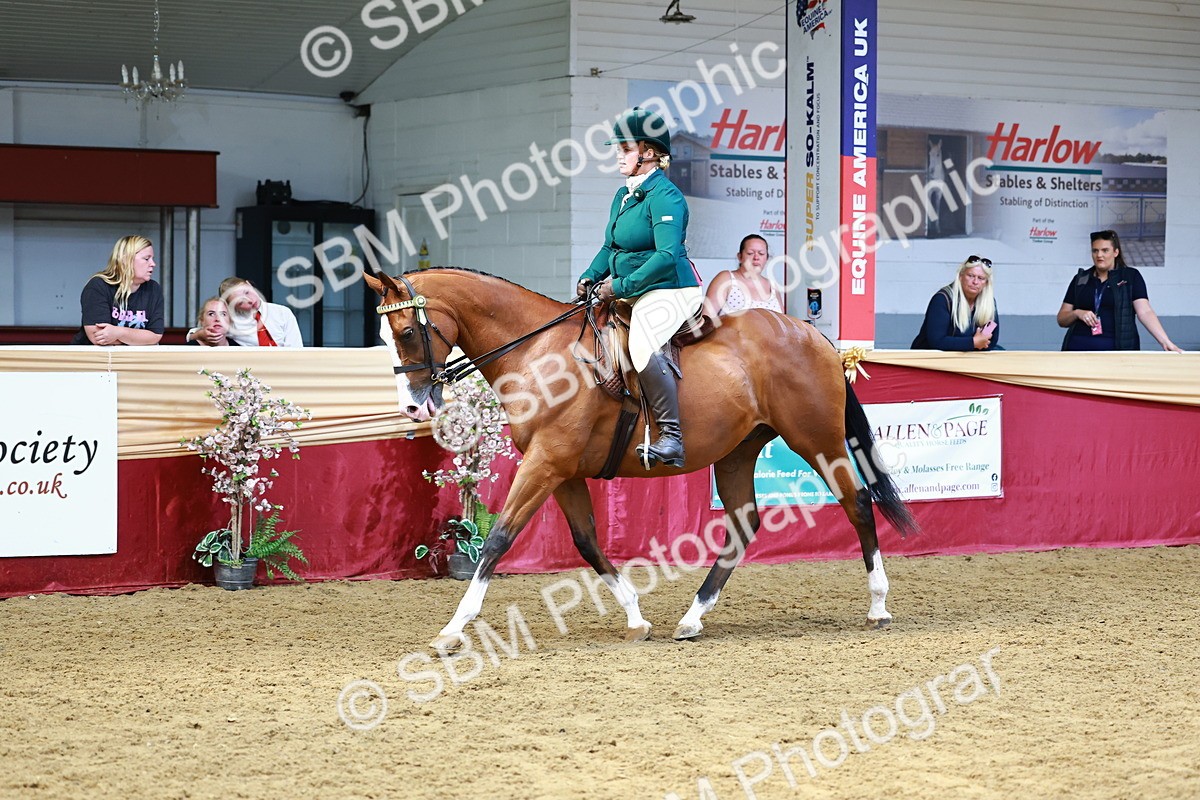 SBM_23819 - Class 905 - Supreme Final - Ridden Veteran